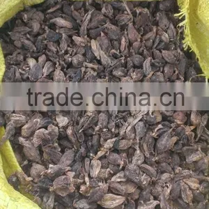 Black Cardamom From Viet Nam thumbnail-2