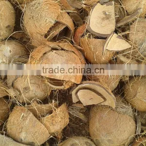 Dry Coconut Shell thumbnail-3