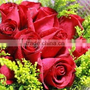 Fresh Cut Rose Flower thumbnail-5