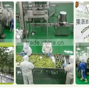 Vacuum Fried Sweet Potato Chips, vf Vegetables thumbnail-5