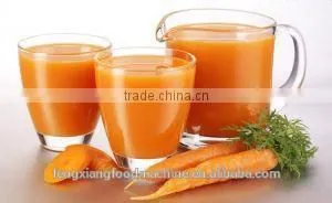 FC-310 Fruit Juice Making Stainless Steel Machine Vegetable Juice Pulp Process Machine thumbnail-5