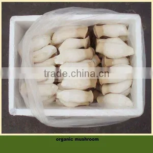 Bulk Fresh Vegetables thumbnail-1