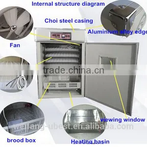 Chicken Breeding Machine / Breeder Farm Equipment thumbnail-2