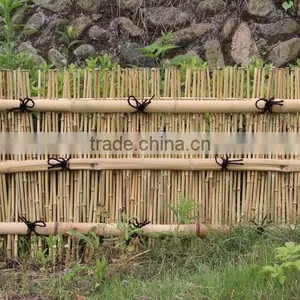 FD70301 Newest Styles of Bamboo Fence thumbnail-5