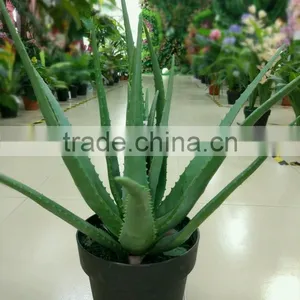 Landscaping Orgament Plant/Artificial Bonsai Plant/fake Aloe Vera Plant thumbnail-6