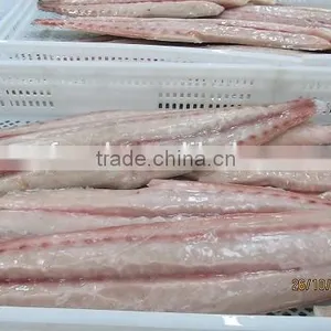 Frozen Mahi Mahi Fillet Skinless Frozen Foods thumbnail-1