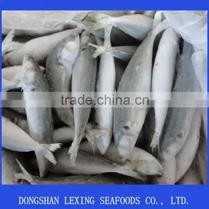 Frozen IQF Horse Mackerel Seafood thumbnail-1