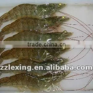Frozen Vannamei Shrimp thumbnail-1