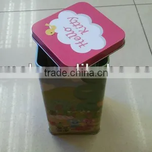 Pretty Square Cookie Can, Cake Tin thumbnail-1