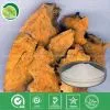 Polygonum Cuspidatum Extract thumbnail-1