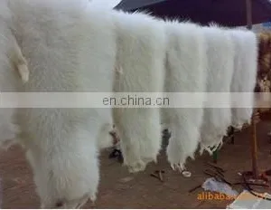 Cheap Raccoon, Raccoon Fur for Women's Clothing thumbnail-4