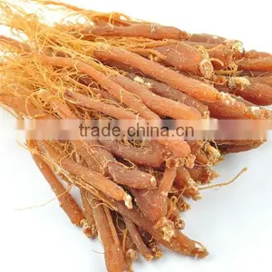 Natue Body Tonic Herb Red Ginseng Root / Panax Ginseng / Ninjin With Tail thumbnail-6