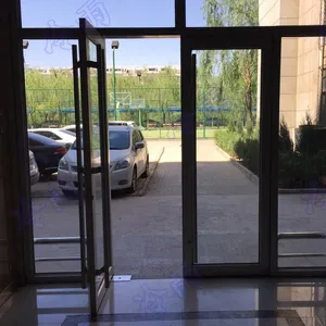 Aluminum Doors for Houses thumbnail-2