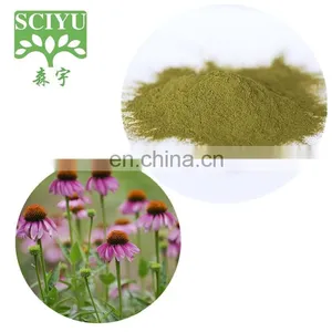 Bulk 4% Polyphenol Echinacea Purpurea Extract Powder thumbnail-1