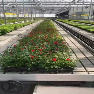 Tidal Seedbed Greenhouse Hydroponic Growing Bench For Plant Nursery thumbnail-1