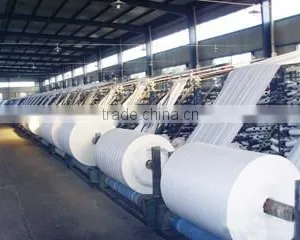 Shandong Shouguang Jianyuanchun Co., Ltd. company overview - view 3 thumbnail