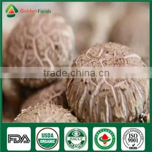 How to Grow Mushroom Shiitake Mushroom Culture Mushroom Plant Growing Kit Log Edible Mushrooms thumbnail-3
