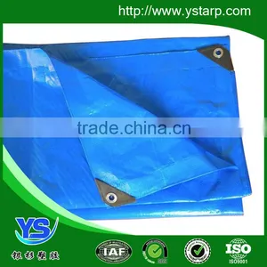 Tarpaulin pe Plastic Sheet thumbnail-5