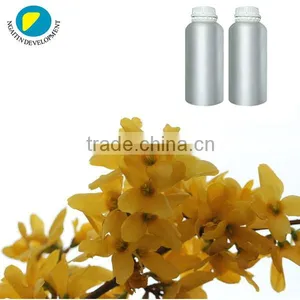 100% Pure and Natural WEEPING FORSYTHIA Herbal Oil thumbnail-1