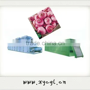 Onion Mesh Belt Drying thumbnail-1