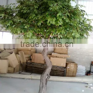Fiberglass Material Greenery Tree Artificial Carambola Tree With Best Price thumbnail-3