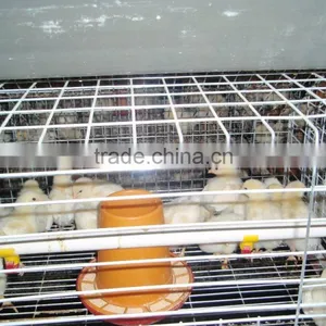 Chicken Battery Cages thumbnail-1