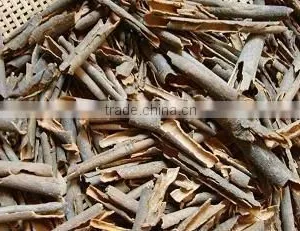 Cassia Tube From Vietnam thumbnail-1