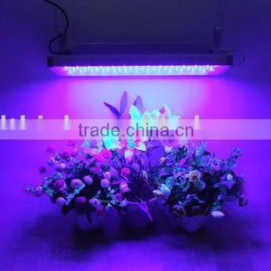 LED Indoor Grow Lighting,LED Hydroponics Lighting,LED Indoor Gardening Lighting thumbnail-1