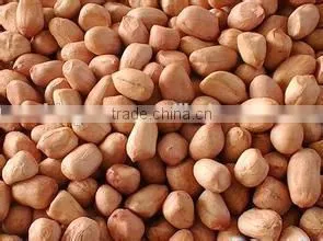China Dried Peanut Kernel Baisha thumbnail-6