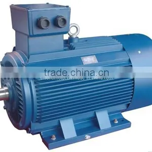 YE3 Super Efficient Motor 230/440V thumbnail-3