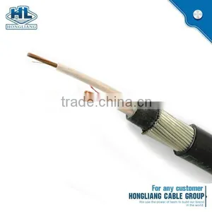 2x10mm2 8000 Series Aluminum Alloy Concentric Cable Flat Concentric Cable thumbnail-1