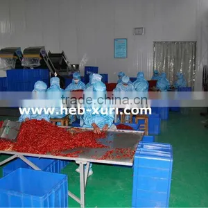 Dry Red Tianying Chili thumbnail-5
