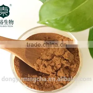 100% Natural Organic Powder Green Tea Extract50%green Tea Polyphenols Macha Powder thumbnail-1