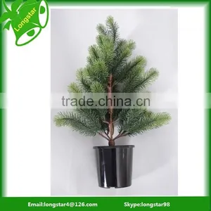 PVC Sheet for Making Artificial Christmas Tree thumbnail-4