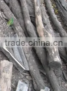 Very High Heating Soft Wood Bbq Charcoal thumbnail-5