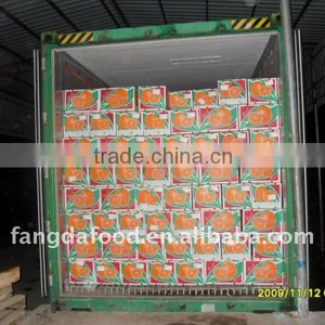 15 kg Ctn Loading Picture thumbnail-1