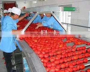 Double Concentrated Tomato Paste Canned Tomato Paste in Drum Gino Tomato Paste Factory thumbnail-6