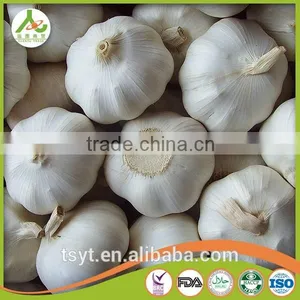 Bulk in Different Packing Fresh Garlic Garlic White Garlic thumbnail-6