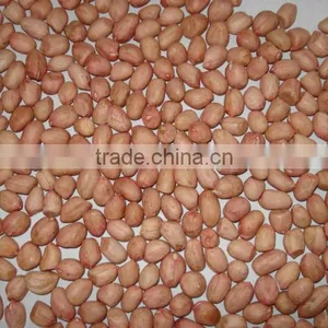 Chinese Peanut Kernels thumbnail-1