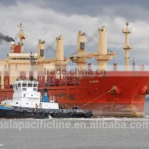 BULK CARGO AND GENERAL CARGO SHIPPING/ PROJECT/ HEAVY LIFT CARGO/ thumbnail-1
