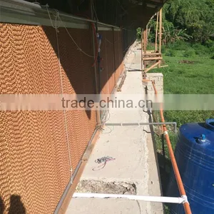 Low Price Philippines Poultry Farm House Design Broiler Chicken Raising Equipment thumbnail-5