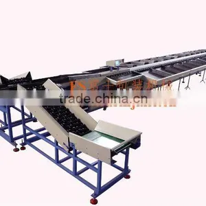 FGX-DZ Electronic Fruit Grading Machine thumbnail-1
