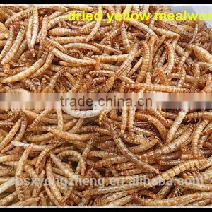 Origanic Fish Food Microwave Dried Mealworm; Dried Tenebrio Molitor For Fish Food thumbnail-1