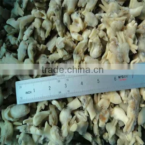 Frozen and Live Razor Clams thumbnail-1