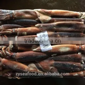 Frozen Whole Round Argentina Squid for BBQ thumbnail-1