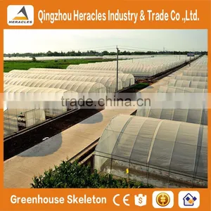 Heracles Low Cost Mini Greenhouse thumbnail-3