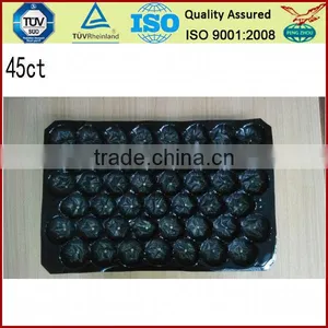 Clear Disposable Plastic Pvc Fruit Tray Plastic Fresh Fruit Tray thumbnail-1