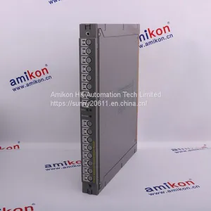 T8200 | ICS TRIPLEX | Power Supply System thumbnail-1