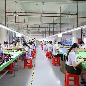 Shenzhen Mycolor Cosmetics Co.,Ltd company overview - view 2 thumbnail