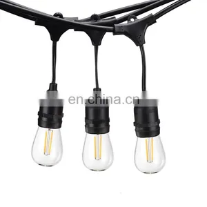 Wholesale Festoon Lights 48ft 15/24pcs Edison Bulb String for Decoration Party Christmas thumbnail-1